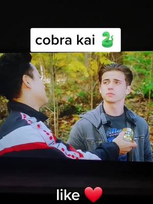 A post by @cobrakaii_2020 on TikTok caption: #sigueme #cobrakai #likes❤ #viral