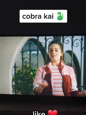 A post by @cobrakaii_2020 on TikTok caption: #cobrakai #sigueme #likes❤ #viral