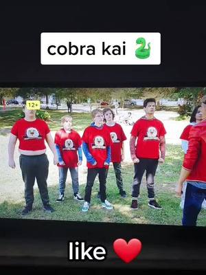 A post by @cobrakaii_2020 on TikTok caption: #cobrakai #sigueme #likes❤ #viral