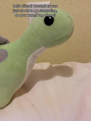 A post by @cucumberlovesyou on TikTok caption: ❤️🥒Cucumber And His Friend Go Stargazing!🥒❤️ #stargazing #diffrent #stars #cucumberlovesyou #foryoupage #unique #yourloved #cuketok #cucumber #fy