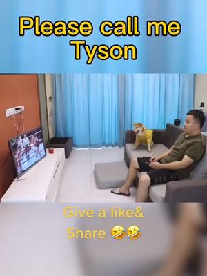 A post by @coseycgondup on TikTok caption: Don’t watch boxing match with your dogs 🐶 #dog #fypシ #dogs #dogsoftiktok #cute