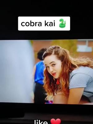 A post by @cobrakaii_2020 on TikTok caption: #cobrakai #sigueme #likes❤ #viral