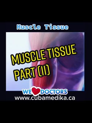 A post by @cubamedika on TikTok caption: #muscle #tissue #cubamedika #doctor #medikainternational