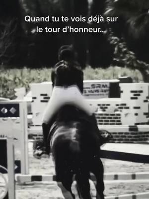 A post by @butterflyjump on TikTok caption: Ce son est génial 😂😭. Plutôt 4 points sur le premier ou sur le dernier ?! #equitation #chevaux #trend #fyp