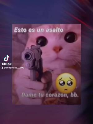 A post by @chapinsito__travieso16 on TikTok