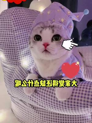 A post by @chongwu27 on TikTok caption: 🥰😻😻😻😻#tik_tok #funny #foryou #cat #❤️❤️ #fommowme