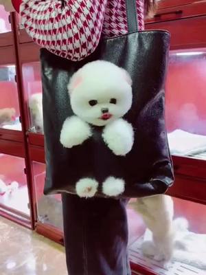 A post by @khadelong on TikTok caption: Would you like a bag like this?#puppy #dog #foryou #fypシ #cute