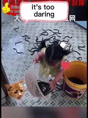 A post by @chongwu27 on TikTok caption: This daring.comment on that🤣🤣🤣🤣🙈🙈🙈#tik_tok #funny #foryou #fry #fommowme