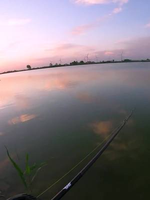 A post by @crandynee on TikTok caption: #tiktokindia #foryou #fishing