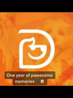 A post by @tysonscornerdogtopia on TikTok caption: Auto sync some videos of our pups over the pass year! What a blast !! 🐶🐾💥#oneyearlater #dogsofttiktok #syncchallenge