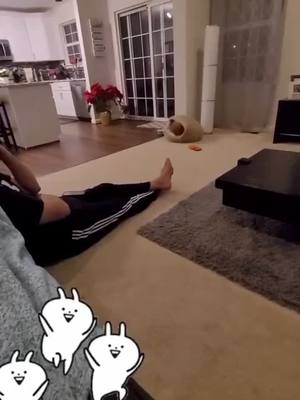 A post by @respetu on TikTok caption: #greenscreenvideo FASTEST BOY#fypシ #dog #cute #puppy