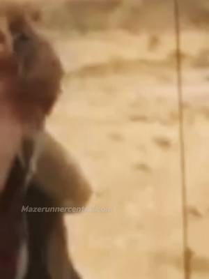 A post by @mazerunnercentral.com on TikTok caption: Just felt like I needed a little bit of pain today <3 #newtmas #newt #thomas #dylanobrien #thomasbrodiesangster #tmr #themazerunner #mazerunner #fyp