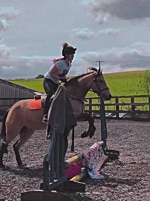 A post by @thedunbee on TikTok caption: when your instructor tries everything to make bee spook, but she remains unbothered 😁 #TeamBumble #equestrian #horse #equine #fypシ