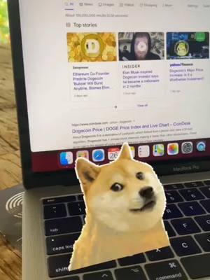 A post by @funnypets857 on TikTok caption: #greenscreenvideo #dogs #dogecoin #crypto #elon #trading