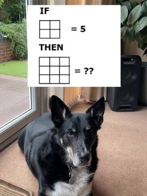 A post by @olliemydog on TikTok caption: How smart are you? 99.8% of people can’t figure this out. #dog #dogs #fypシ #trend #games #howsmartareyou #feature this