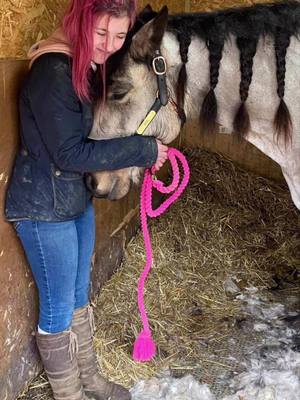 A post by @thedunbee on TikTok caption: i love these:( and all of them were taken by my aunt! #TeamBumble #equestrian #horse #equine #fypシ