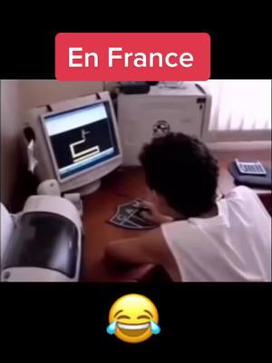 A post by @respect1856 on TikTok caption: 😂😂#france #russia #francevsrussie #humour #cow #versus #fypシ #foryou #pourtoi