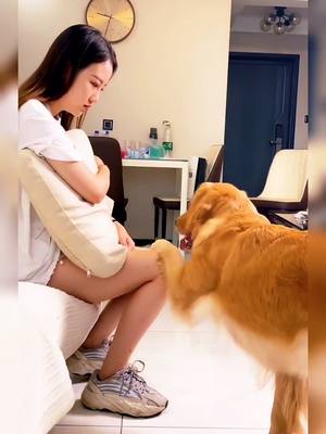 A post by @puppy_storyi on TikTok caption: Thank you my puppy. You are my most precious baby!❤️🥺#puppy #dog #dogsofttiktok #4u ##fypシ #petslover