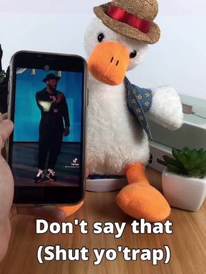 A post by @duckcansing on TikTok caption: What’s ur fav song? #duckcansing #toys #music #fyp