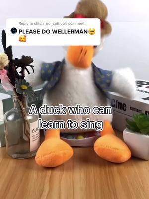 A post by @duckcansing on TikTok caption: Reply to @stitch_no_cattivo which song is next? #duckcansing #toys