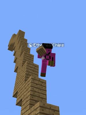 A post by @drewdoesntmatter on TikTok caption: HOW DID YOU DO THAT @etherealchips #Minecraft #minecraftmemes #minecraftpvp #mcyt #fyp #drewdoesntmatter