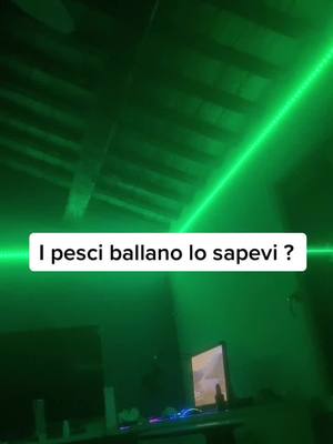 A post by @flexinsnay on TikTok caption: E tu lo sapevi