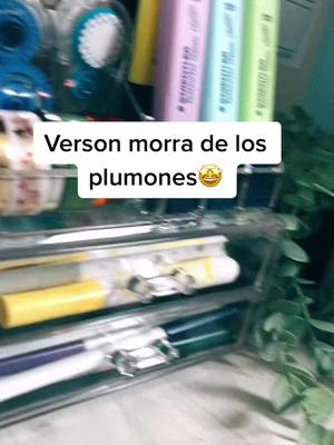 A post by @study.notes29 on TikTok caption: Version morra de los plumones🖍🪴#crzgf #fyp #parati #morradelosplumones #studygram #studygram