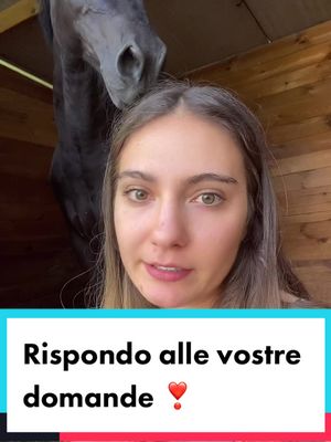 A post by @noemimercati on TikTok caption: Rispondi a @moba004 #equitazione #vetstudentlife #vetstudentsoftiktok proviamo la nuova funzione playlist 🥰