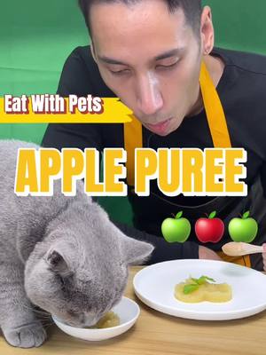 A post by @dhohoo_pets on TikTok caption: Sharing meals for today — apple purée 🍎#dhohoo #catlover #catsoftiktok #catbehavior #petdiet #Recipe #recipesoftiktok #catlove