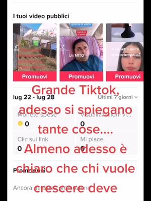 A post by @capritrail on TikTok caption: Tiktok a pagamento #tiktoker #portalcreator #creatorfund #creator #fondocreator