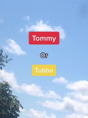 A post by @mcyt....com on TikTok caption: #greenscreen #greenscreenvideo #tommyinnit #tubbolive #whatone #fyp #viral #blowuplikelmanburg