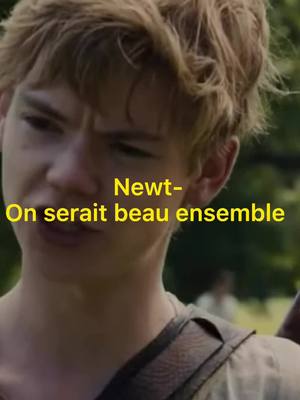 A post by @labyrinthe.pov on TikTok caption: #pov : vous serez beau ensemble #mazerunner #newt