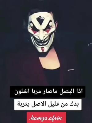 A post by @rass_hab on TikTok caption: #hamza.ab