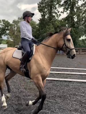 A post by @dunandblonde on TikTok caption: Celebrating one month of dead tooth after he bucked me off 👍🏼 finally braved it and I’m back on board 😃 #equestrian #horsegirl