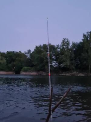 A post by @squatch1911 on TikTok caption: #JetPuffedSmourth #MakingTheCut #indiana #martinsvilleindiana #fishing #singlelife #ridensolochallenge #countrylife