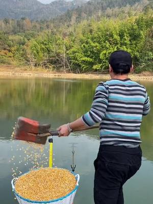 A post by @47bery301 on TikTok caption: #catchfish #fishing #fish #fishinghacks #fishingtips #foryou