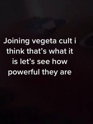 A post by @dogboss87 on TikTok caption: #SHEINcares #vegetacult