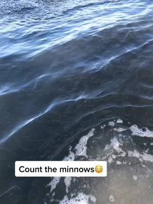 A post by @david_nason on TikTok caption: Bet no one will get it right #minnows #fyp #fishing #rue21BeYouChallenge #TeamofTomorrow