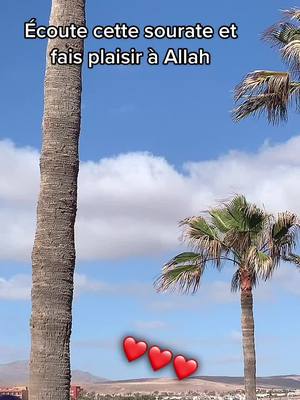 A post by @islamrappels1 on TikTok caption: #allah #islam #coran #sourate