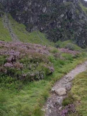 A post by @v6reg on TikTok caption: Glen Clova such a special place #mountain #munros #fypシ #foryou #Scotland #exploring #Hiking #munrobagging #bonniescotland #mountainequiptment #scarpa