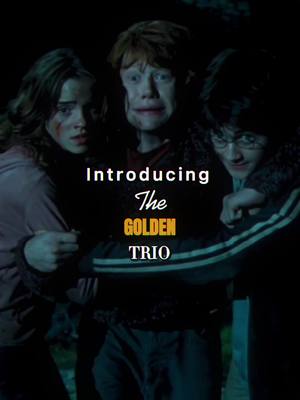 A post by @a.edits_xx on TikTok caption: 𝐓𝐡𝐞 𝐆𝐨𝐥𝐝𝐞𝐧 𝐓𝐫𝐢𝐨 // #harrypotter #ronweasley #hermionegranger #fypage