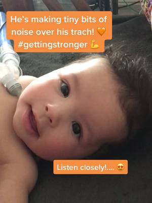 A post by @kingstonsfightpws on TikTok caption: His little squeak 🐭🥺 #trachbaby #gettingstronger #hope #hopeful #temporary #foryou #foryourpage