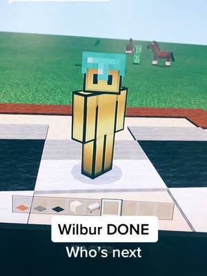 A post by @ava.not.found._ on TikTok caption: Reply to @dsmp.freaky Wilbur!!!!!#fyp#smp#dsmp#Minecraft#wilbursoot#carpets#done#fypppppppppppppp