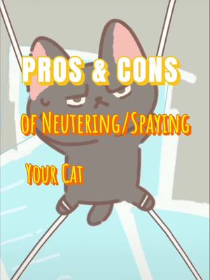 A post by @dhohoo_pets on TikTok caption: Should you neuter your cat? List the pros & cons. #dhohoo #petbehavior #neutered #catsoftiktok #catbehavior #proandcon