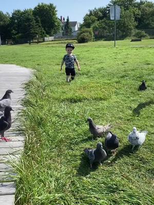 A post by @yaritara on TikTok caption: #toddlersoftiktok #feedingthebirds