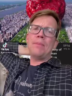 A post by @superpuppe on TikTok caption: #stitch with @hankgreen1