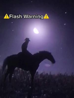 A post by @n.reddeadredemption2 on TikTok caption: ⚠️ FLASH WARNING ⚠️ #rd2 #flash #warning