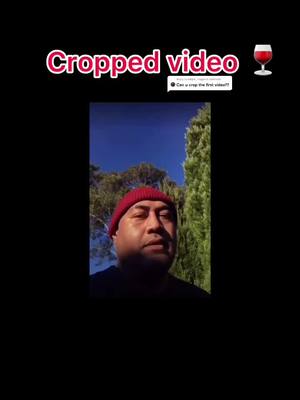 A post by @wyashoto on TikTok caption: Reply to @simp4._miguel here ya go #croppedvideos #video #viralvideo #viral #hashtag #capcut #breed #fyp #fypシ #fypage #fypdongggggggg #fypシ゚viral #fy