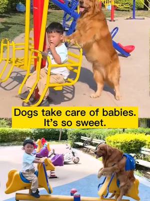 A post by @pets_doggy on TikTok caption: Dogs actually use this way to take care of the baby, the picture is too warm and lovely#dog #fyp #pet #funnydog