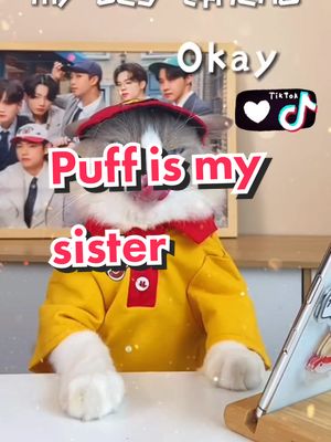 A post by @puffsisterbuff on TikTok caption: Puff I want this!💡#puff12milline #thatlittlepuff #catoftiktok #puffsister